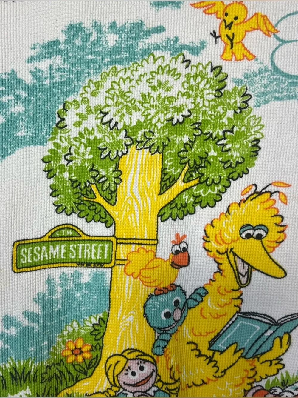 Vintage Sesame Street Baby Blanket Waffle Thermal Ruffle Muppets Inc Big Bird